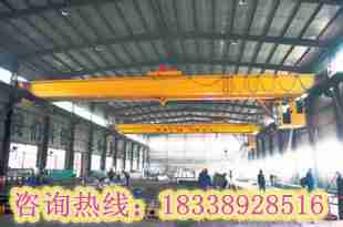 四川瀘州行車行吊銷售值得客戶信賴