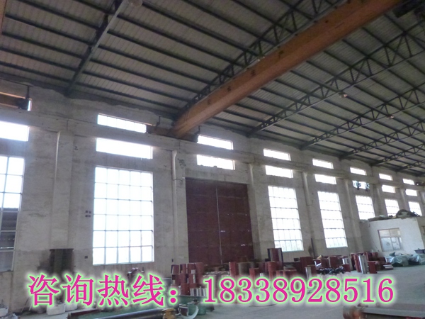 河北石家莊行車行吊銷售廠家